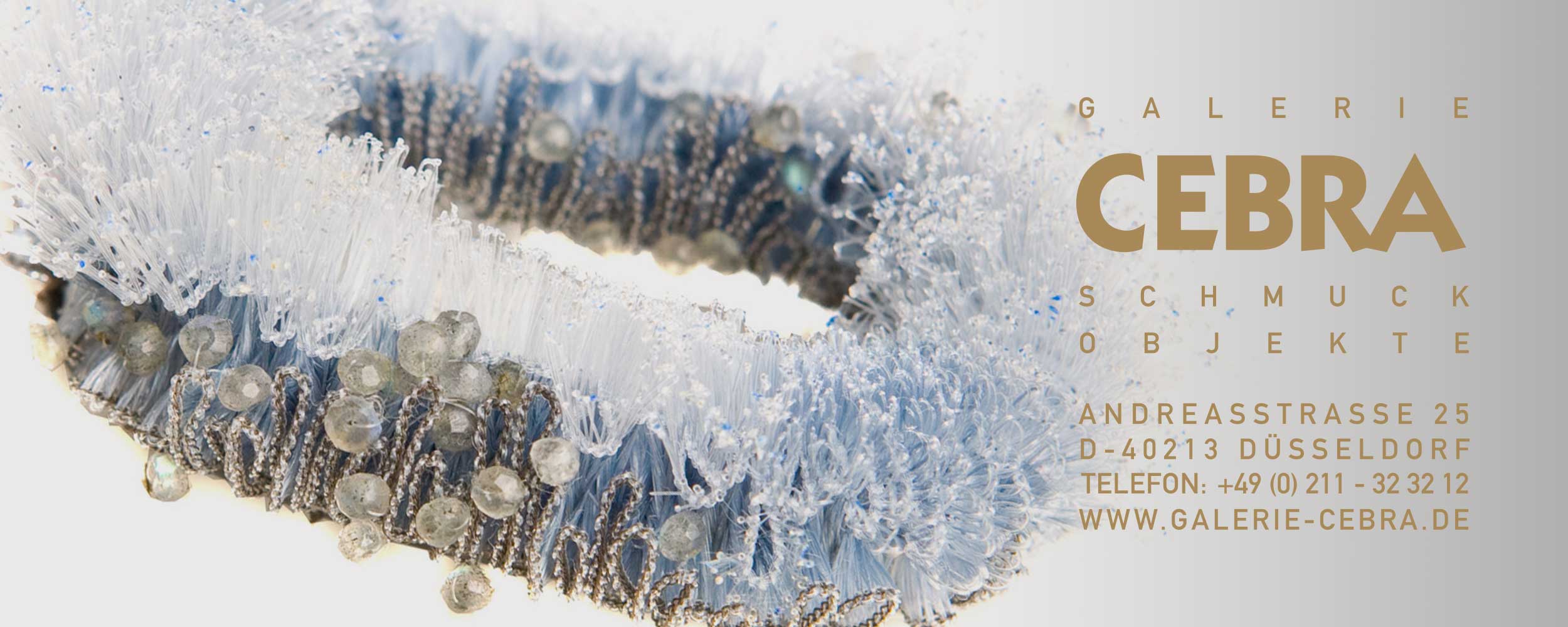 cebra_start_jan_2026b