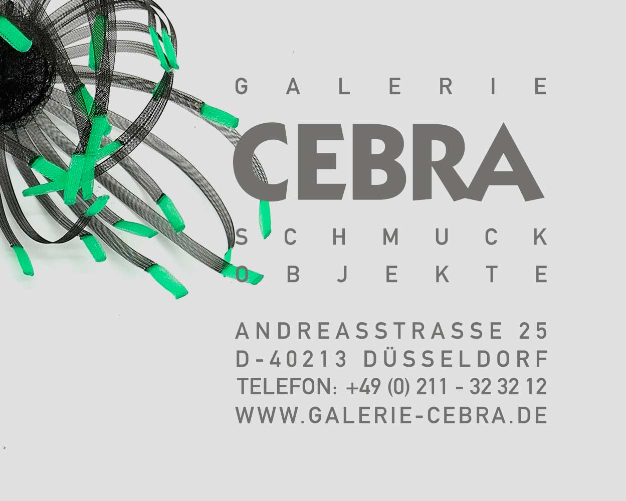 cebra_start_feb_2026_mob
